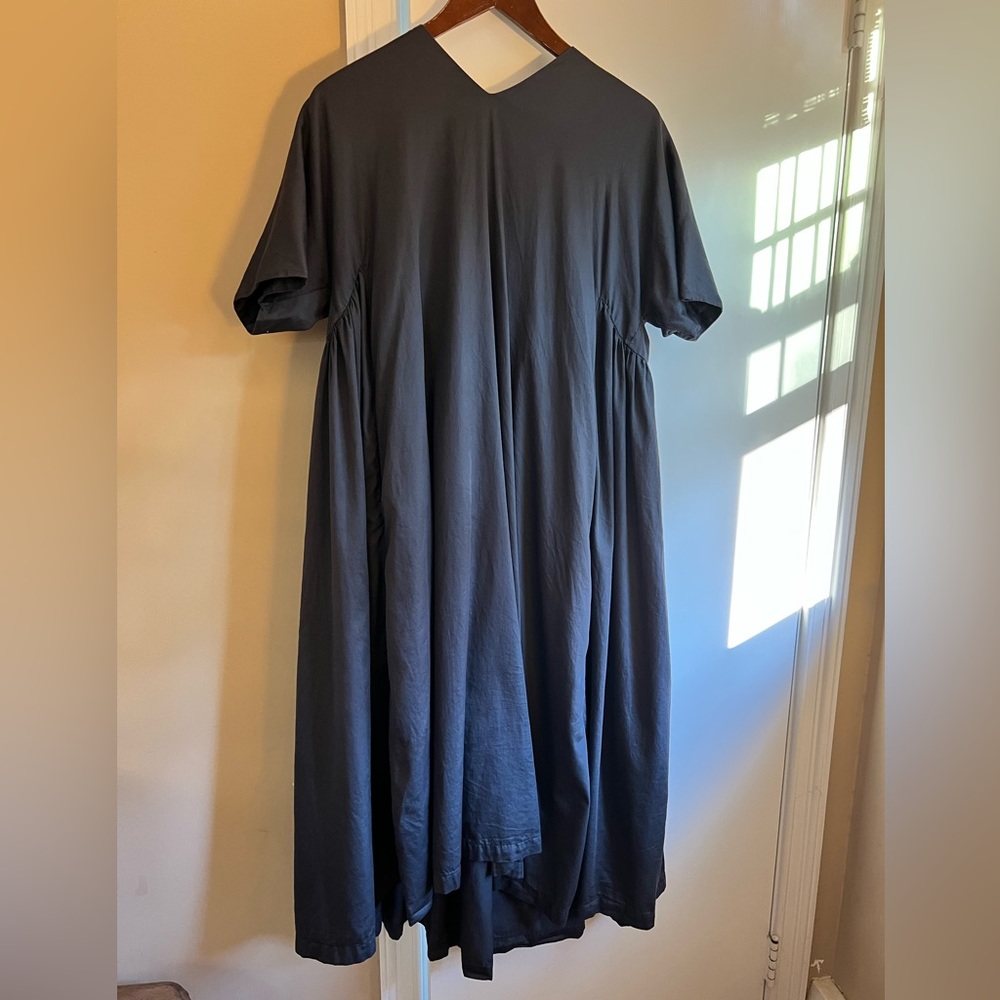 Black Crane Petal Dress